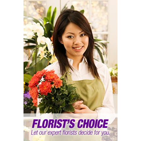 Florist Choice 4