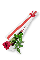 Long Stem Single Rose Presentation Box